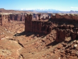 Moab-White Rim 4-08 057